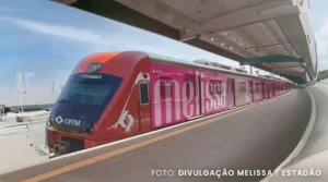 Sucesso Olfativo: Como a Melissa Cria Conexões Emocionais Únicas